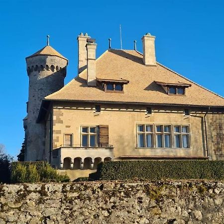 Le Duc Daire Thonon-les-Bains Dış mekan fotoğraf