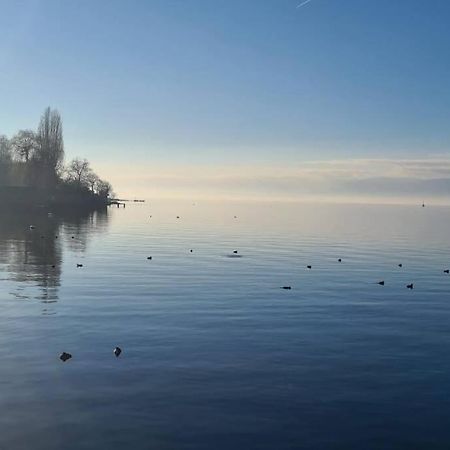 Le Duc Daire Thonon-les-Bains Dış mekan fotoğraf