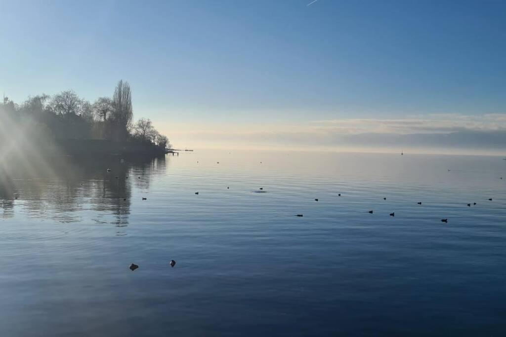 Le Duc Daire Thonon-les-Bains Dış mekan fotoğraf