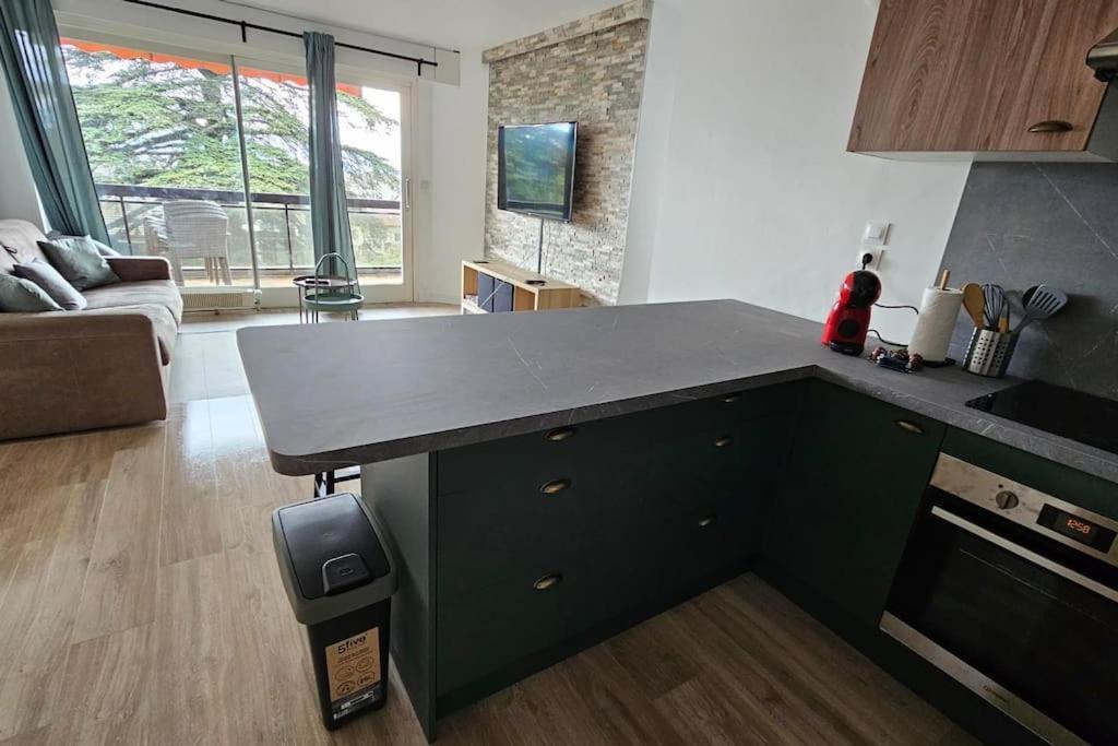 Le Duc Daire Thonon-les-Bains Dış mekan fotoğraf